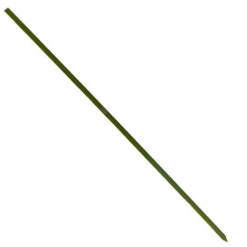 Bambusspieße Grün 250mm (5000 Stück)