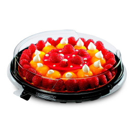 Plastikbehälter für Kuchen APET Schwarz Ø24cm (10 Stück)