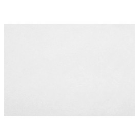 Tischsets "Novotex" Polyester-Vliesstoff Weiß 30x40cm 55g (500 Stück)