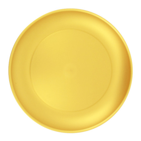 Wiederverwendbare Plastikteller PP Mineral Gold Ø27,4cm (54 Stück)