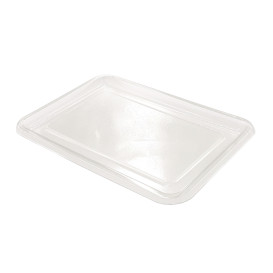 Plastikplatte RPET Klare 46x30cm (50 Stück)