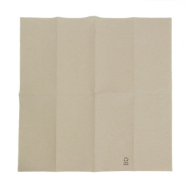 Papierservietten Bio 40x40cm 1/8 2-lagig (50 Stück)