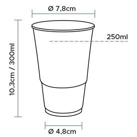 Plastikbecher Transparent PP 300ml Ø7,3cm (100 Stück)