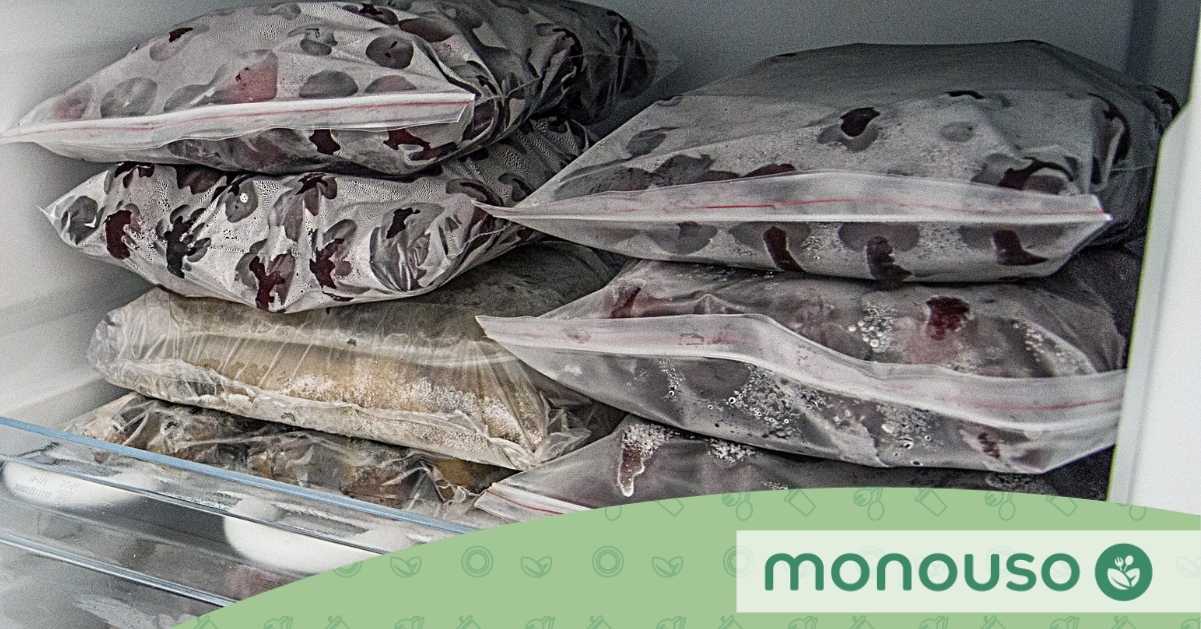 Behälter für problemloses Einfrieren zu Hause ❄ Monouso